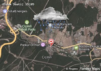 Çiçekli hava durumu haritası