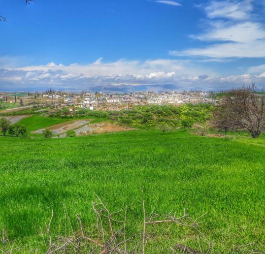 Bol Güneşli Bir Hafta