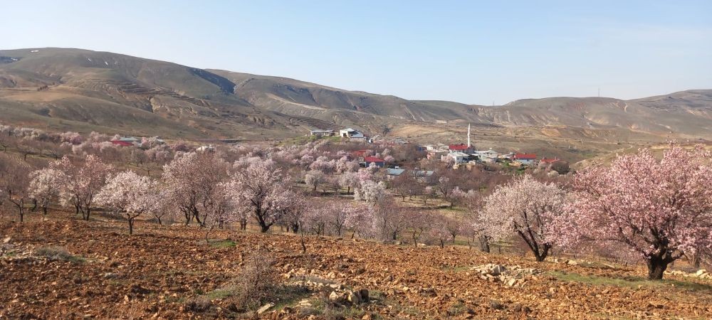 Şevki Elmas tarafından paylaşılan köy hava durumu fotoğrafı