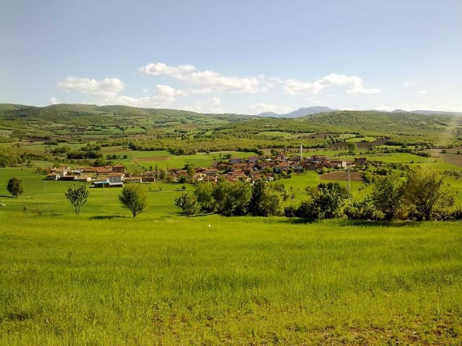Selamet Köyü ziyaretçi fotoğrafı